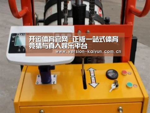 开运体育案例展示三