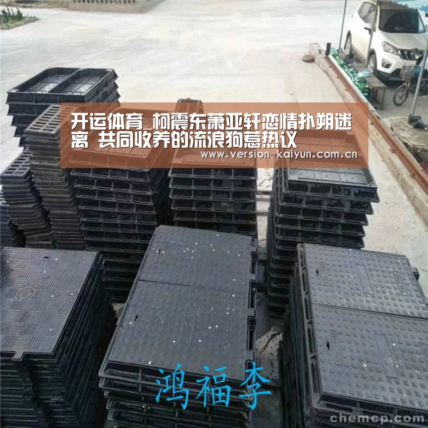 开运体育_柯震东萧亚轩恋情扑朔迷离 共同收养的流浪狗惹热议(图1) 开运体育app